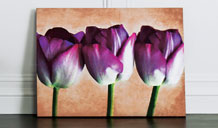See our new range of Wall art at Argos.