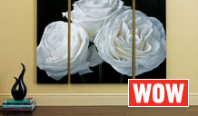 New Home furnishing WOW deals at Argos.