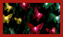Save 25% on all Solar lighting.