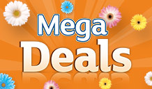 Mega Deals. Hurry, must end Tuesday.*
