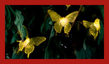 Save up to 60% on selected outdoor lighting.