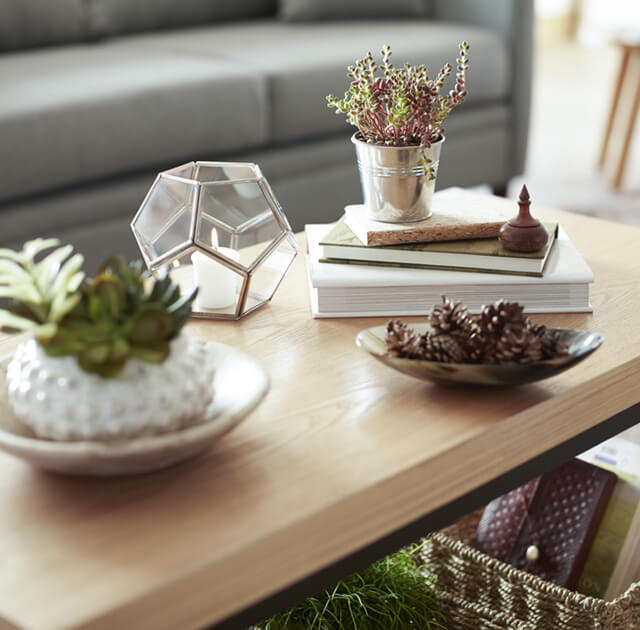 Stacked books, pine cones and plant pot on coffee table.