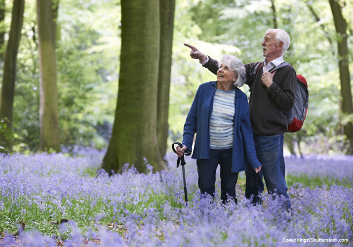 Man and woman having a walk surrounded by bluebells.