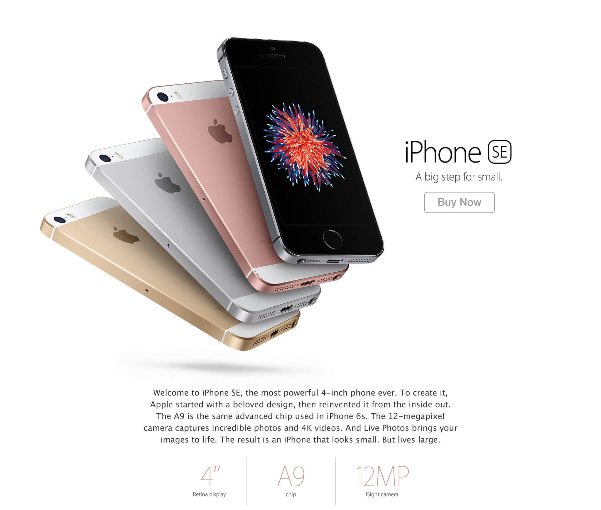 Iphone S Gold Argos Iphone S Gold Argos