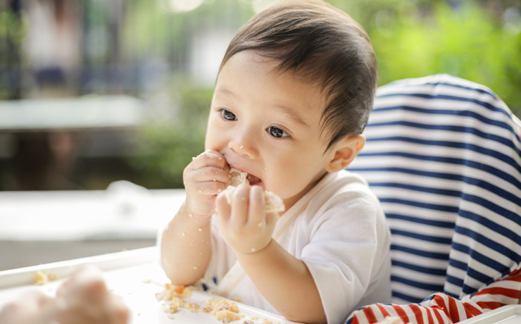 Little boy sitting in a highchair eating with his hands.