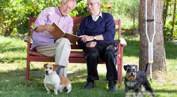 Two men sat on a bench in the park with their dogs.
