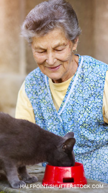 Woman feeding her cat