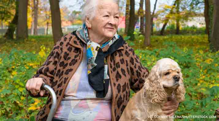 Woman sat in park with her spaniel