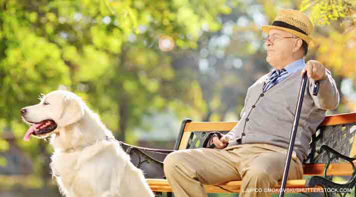 Man sat relaxing on a park bench with his Labrador