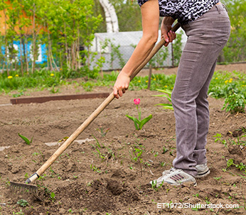 Person raking and clearing area of weeds