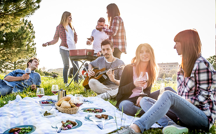 Image of a group of friends enjoying a picnic together