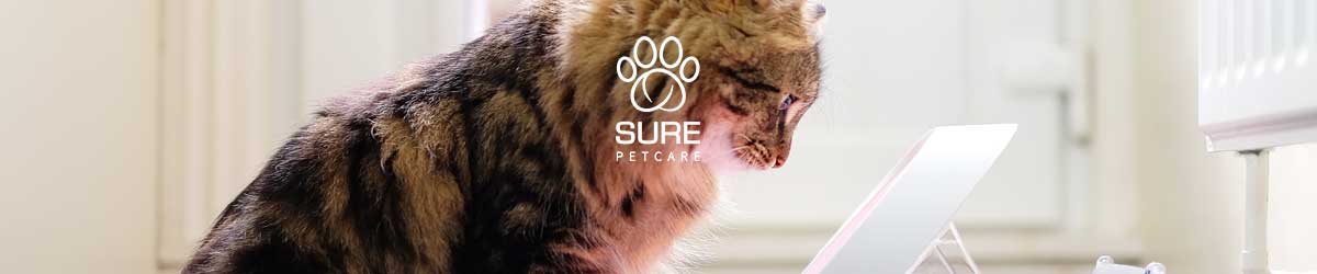 Sure Petcare.