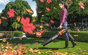 Image of a woman using a WORX blower to clear the garden of fallen tree leaves.